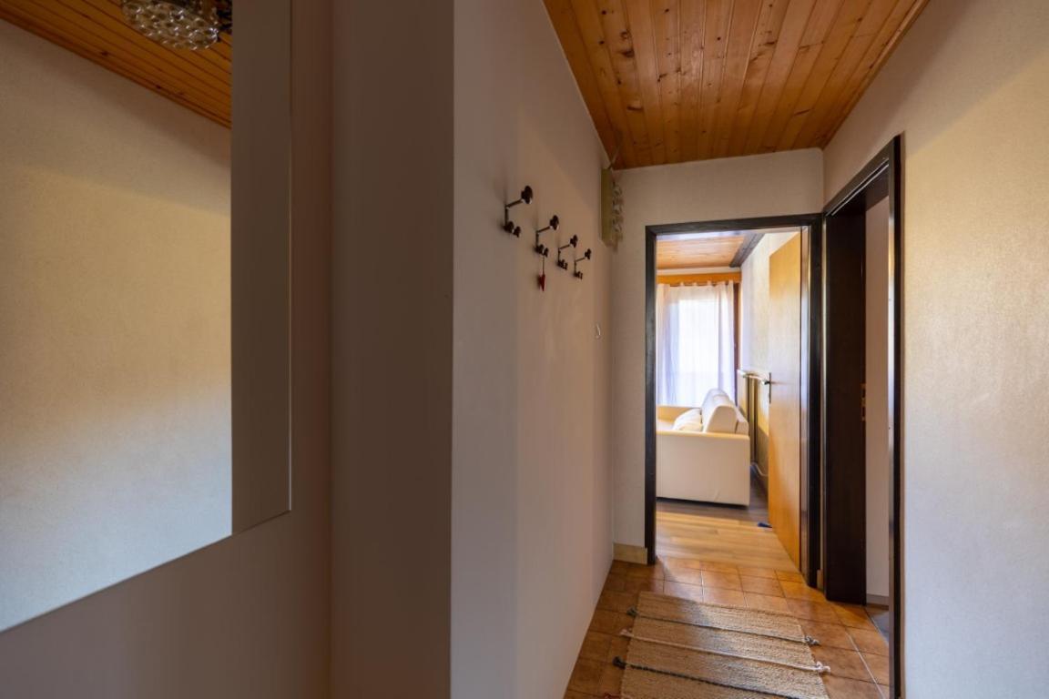 Apartment And Room Mateja Kovacic 博希尼 外观 照片