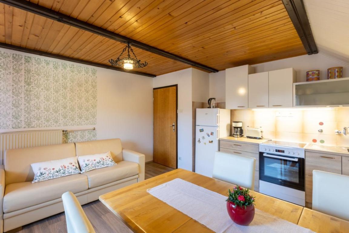 Apartment And Room Mateja Kovacic 博希尼 外观 照片