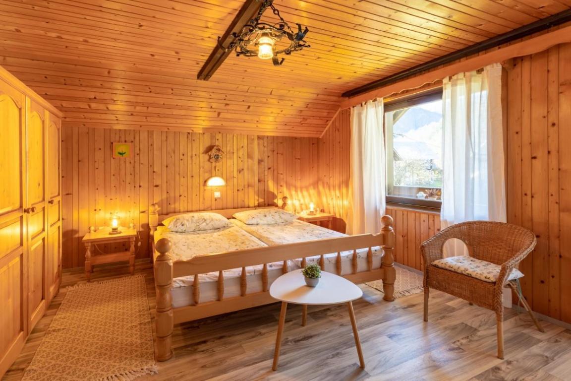 Apartment And Room Mateja Kovacic 博希尼 外观 照片
