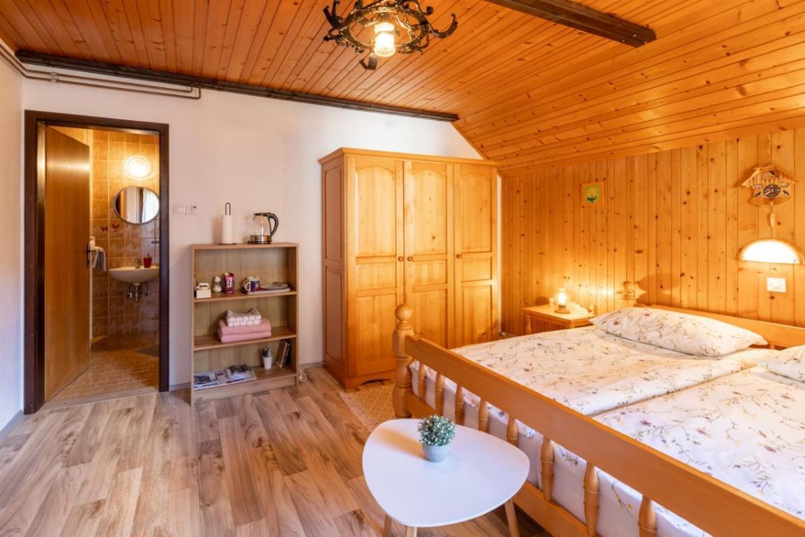 Apartment And Room Mateja Kovacic 博希尼 外观 照片